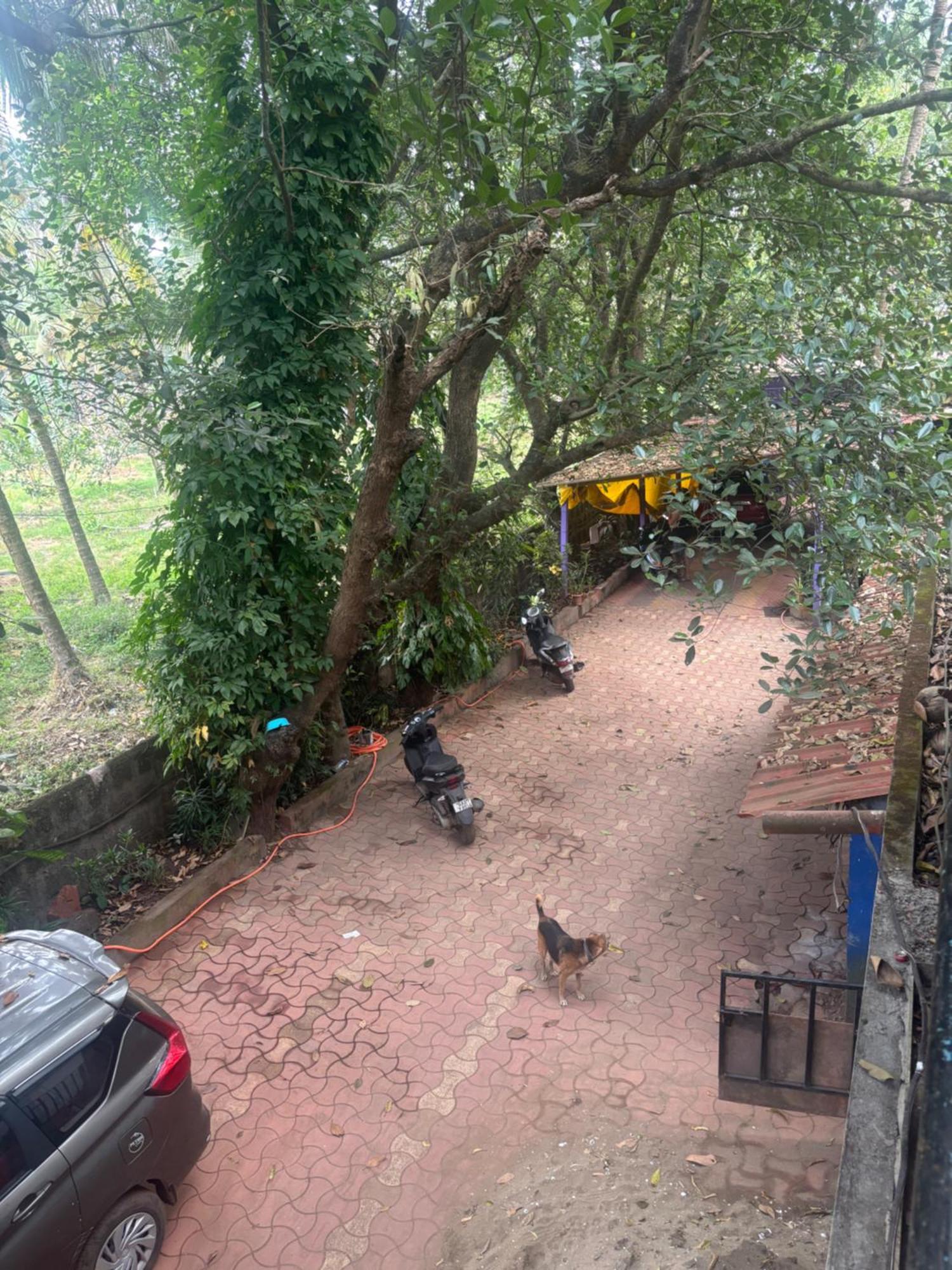 Hostel Tamasha Goa Vagator Zimmer foto